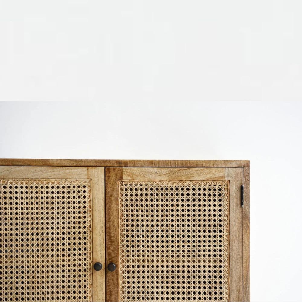 Adore Boho 2 Door Rattan Cabinet 